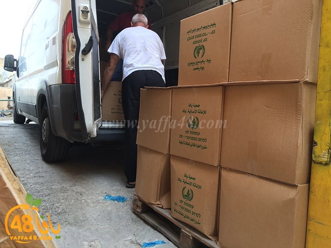 torold yaffa (6).jpg